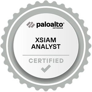 XSIAM Analyst