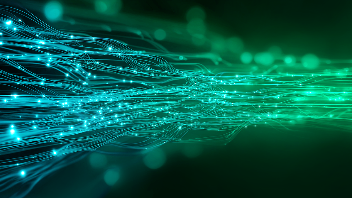 AI models must be continuously monitored to ensure the integrity of input-output relationships.